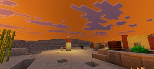 Screenshot 21