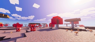 Screenshot 17