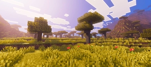 Screenshot 26