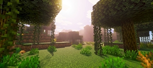 Screenshot 29