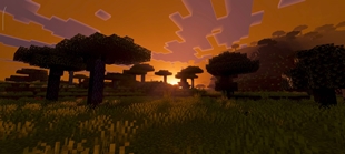 Screenshot 33
