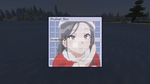 Shulker Box