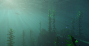 Underwater Ocean