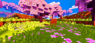 Screenshot 30