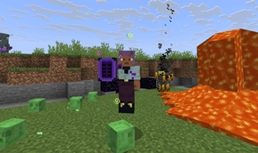 Mobs Beware The Music Disc Wubs!