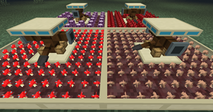 Mycology stations