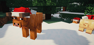 cow