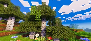 Screenshot 23