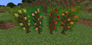 Fruit Trees.png