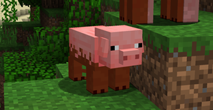Pig.png