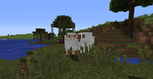 Sheep.png