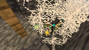 Abandoned Mineshafts contain new spiders