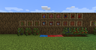1.1.png