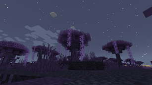 Everdawn