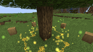 Ritual of the Forest