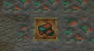 Item Frame.jpeg