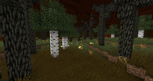 DarkForest