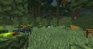 HedgeMaze
