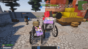 Multiplayer Support