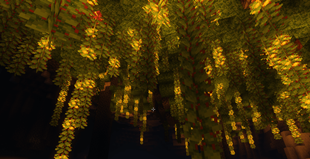 Screenshot 2025-12-01 172237.png