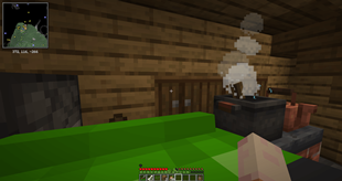 Cooking in the house