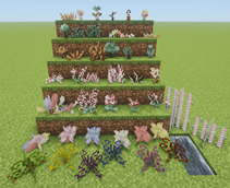 display6.png