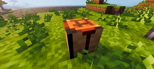 Screenshot 52