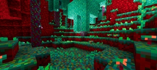 Screenshot 46