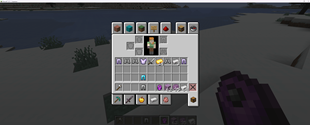 Common Drops From End Loot Bags