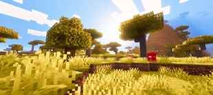 Screenshot 28