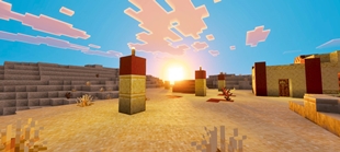 Screenshot 21