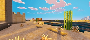 Screenshot 24