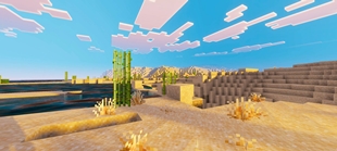 Screenshot 31