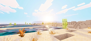 Screenshot 25