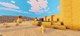 Screenshot 29