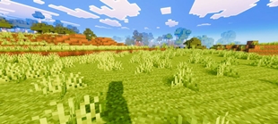 Screenshot 33