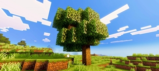Screenshot 34