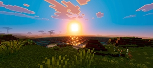 Screenshot 35