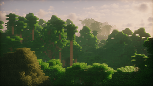 Palms in the Jungle