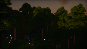 Twilight in the Forest