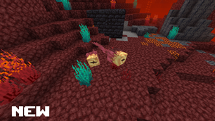 eye_duo_new.png