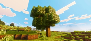 Screenshot 20