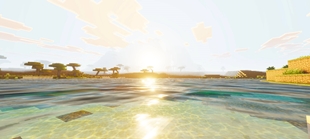 Screenshot 25
