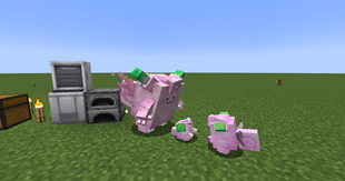 Cleffa line shinies