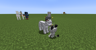 Meowth line shinies