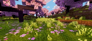 Screenshot 28