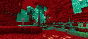 Screenshot 30