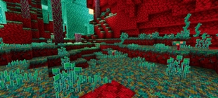 Screenshot 21