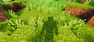 Screenshot 38