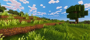 Screenshot 33